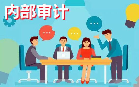 《企业内部审计讲解》视频-渡漳网