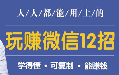 微信营销,人人都能用上的,玩赚微信12招,学得懂,能赚钱-渡漳网