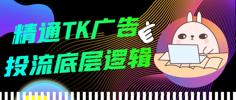 精通TK广告投流底层逻辑-渡漳网