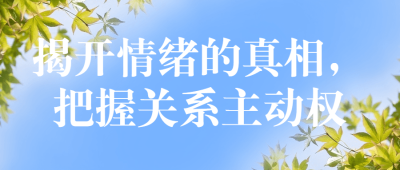 揭开情绪的真相,把握关系主动权-渡漳网
