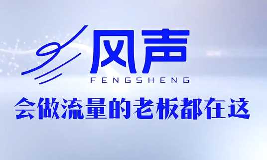 董十一风声短视频AI获客年度会员拆解-渡漳网