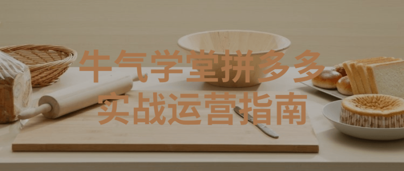 牛气学堂拼多多实战运营指南-渡漳网