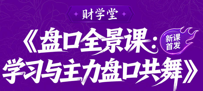 雨禾-盘口全景课：学习与主力盘口共舞-渡漳网