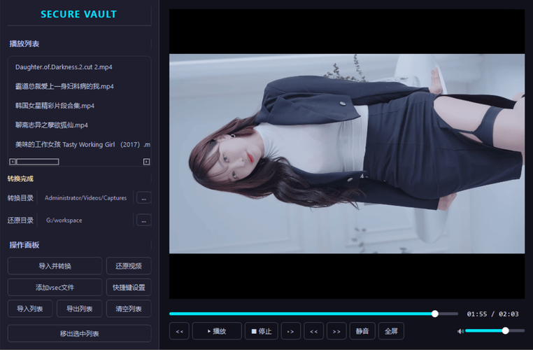 老司机隐私播放器SecureVault Player V0.8.9-渡漳网
