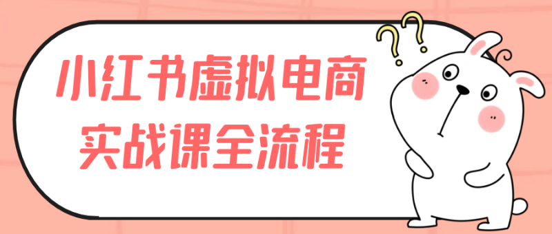 小红书虚拟电商实战课全流程-渡漳网