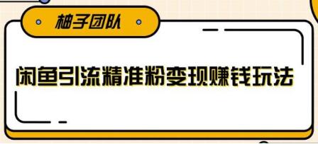 闲鱼引流精准粉变现赚钱玩法，每天可以引流精准粉100+-渡漳网