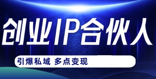 创业IP合伙人打造3.0，从0到1教你做网创-渡漳网