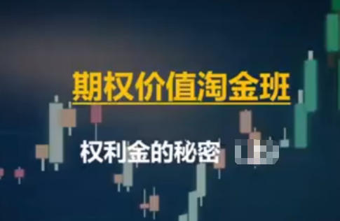期权价值淘金班,权利金的秘密-渡漳网