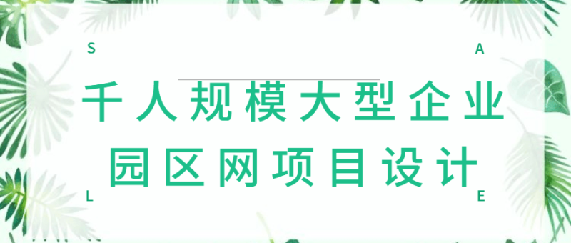千人规模大型企业园区网项目设计-渡漳网
