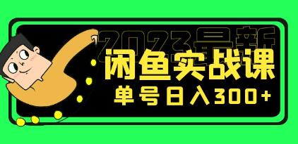 《2023最新闲鱼实战课》单号日入300+-渡漳网