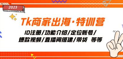 《Tk商家出海特训营》ID注册/定位账号/爆款视频/直播间搭建/带货-渡漳网