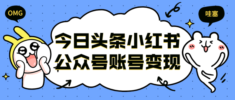 今日头条小红书公众号账号变现-渡漳网