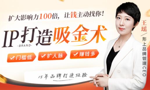 IP打造吸金术，0基础0资源，也能扩大影响力100倍，让钱主动找你！-渡漳网
