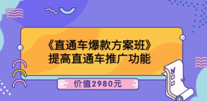 爱上黄昏《直通车爆款方案班》提高直通车推广功能-渡漳网