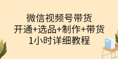陈奶爸《微信视频号带货》开通+选品+制作+带货-渡漳网