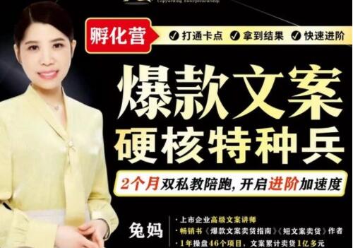 兔妈《爆款文案》硬核特种兵孵化营-渡漳网