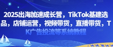 TikTok基建选品,店铺运营,视频带货,直播带货,TK广告投流等系统教程-渡漳网