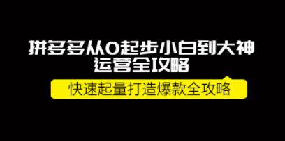 《拼多多从0起步小白到大神运营全攻略》快速起量打造10W+爆款全攻略-渡漳网