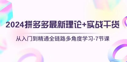 《拼多多最新理论+实战干货》从入门到精通全链路多角度学习-渡漳网