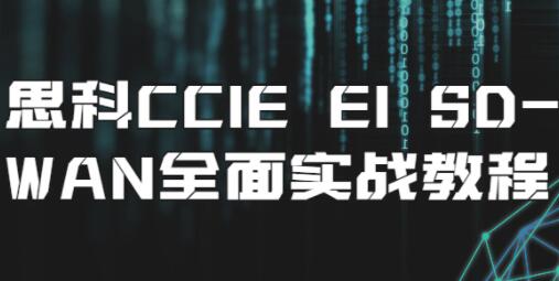思科CCIE EI SD-WAN全面实战教程视频-渡漳网