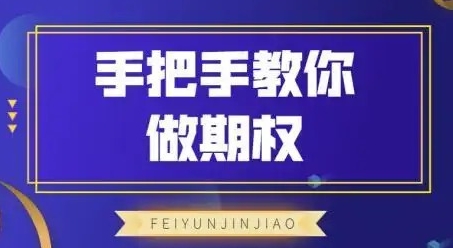 飞云金教《手把手教你做期权》视频教程-渡漳网