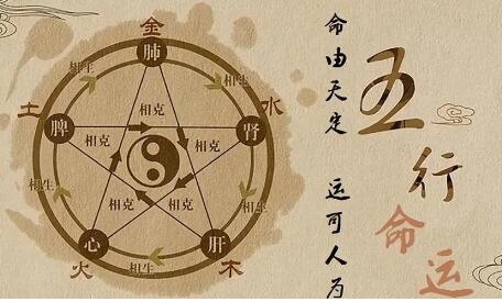 《鬼谷命理学习》教学视频-渡漳网