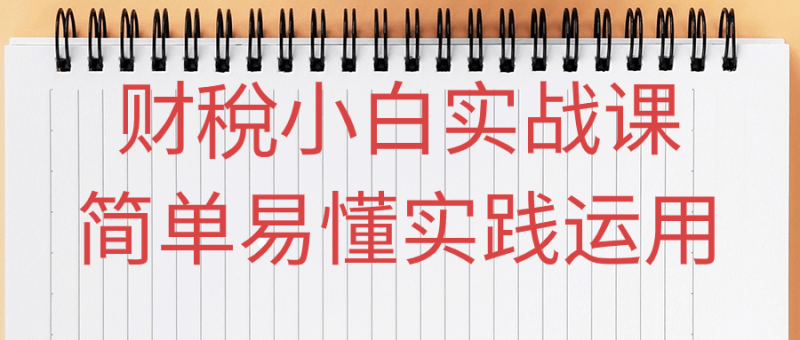 财稅小白实战课简单易懂实践运用-渡漳网