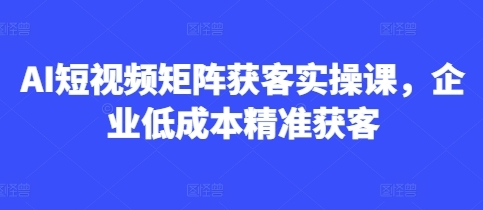 AI短视频矩阵获客实操课,企业低成本精准获客-渡漳网