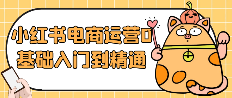 小红书电商运营0基础入门到精通-渡漳网