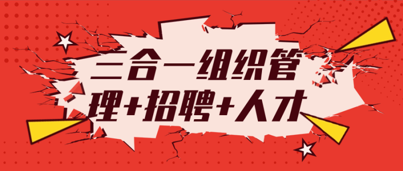 三合一组织管理+招聘+人才-渡漳网
