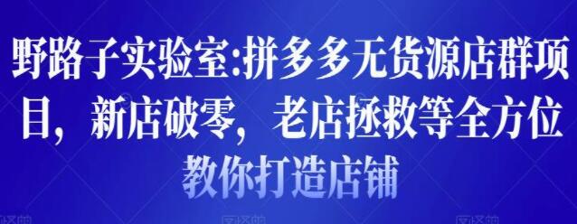 野路子实验室《拼多多无货源店群项目》新店破零,老店拯救等全方位教你打造店铺-渡漳网