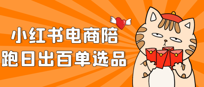 小红书电商陪跑日出百单选品-渡漳网