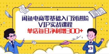 《闲鱼电商零基础入门到进阶》VIP实战课程，单店每日净利增300+-渡漳网