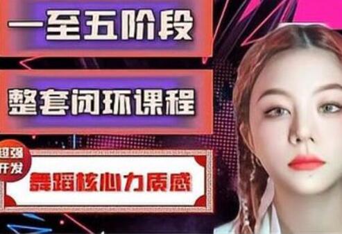 一至五阶段《超强开发舞蹈核心力质感》整套闭环课程-渡漳网