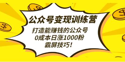 《公众号变现训练营第3期》打造能赚钱的公众号，0成本日涨1000粉，霸屏技巧-渡漳网