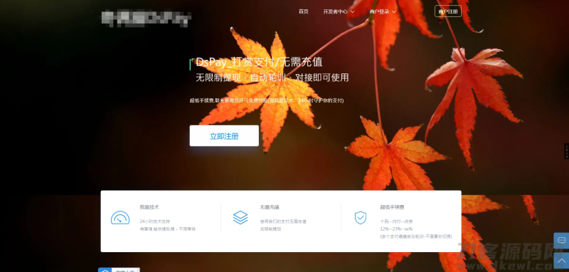 个码免签支付App监控无需输入金额+聚合支付后台源码-渡漳网