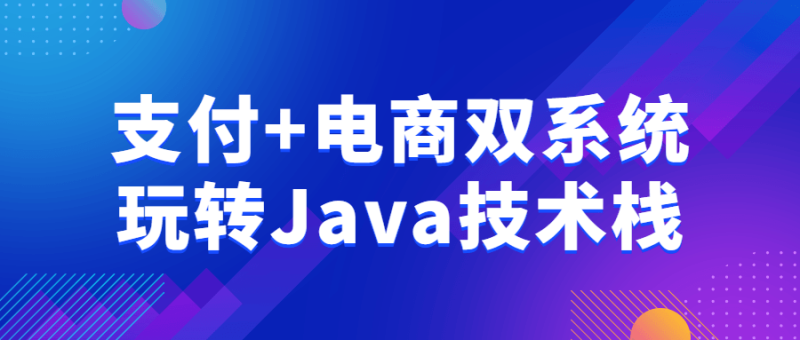 支付+电商双系统玩转Java技术栈-渡漳网
