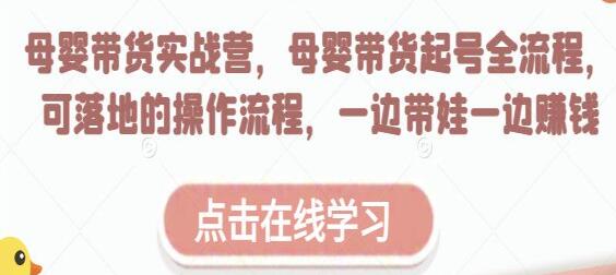 《母婴带货实战营》母婴带货起号全流程,可落地的实操课程-渡漳网