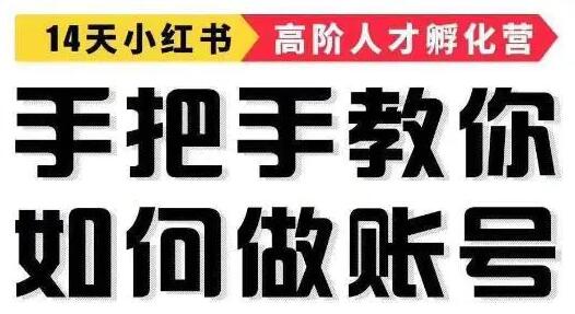 小红书怎么运营赚钱，手把手教你如何，轻松靠小红书月赚10000+-渡漳网