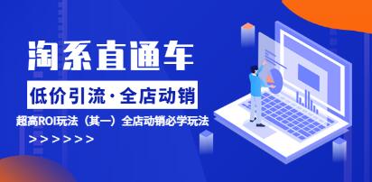 直通车《低价引流 全店动销》超高ROI玩法-渡漳网