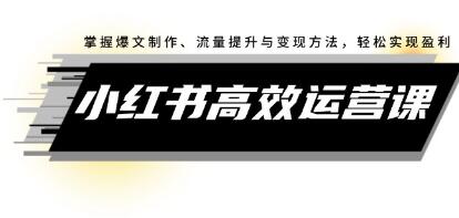 《小红书高效运营课》掌握爆文制作、流量提升与变现方法,轻松实现盈利-渡漳网