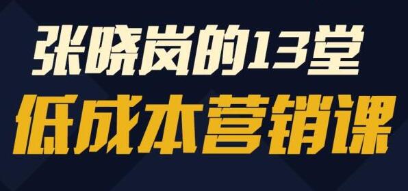 张晓岚《13堂低成本营销课》视频-渡漳网