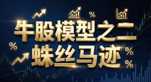 牛股模型之二蛛丝马迹-渡漳网