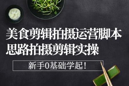 湘水《美食剪辑拍摄运营》脚本思路拍摄剪辑实操，0基础学起-渡漳网