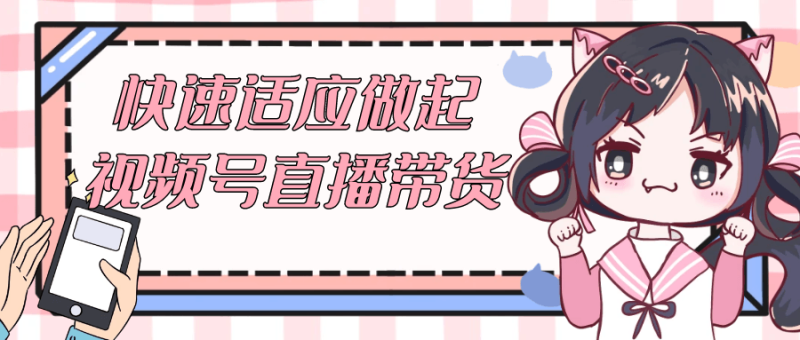 快速适应做起视频号直播带货-渡漳网