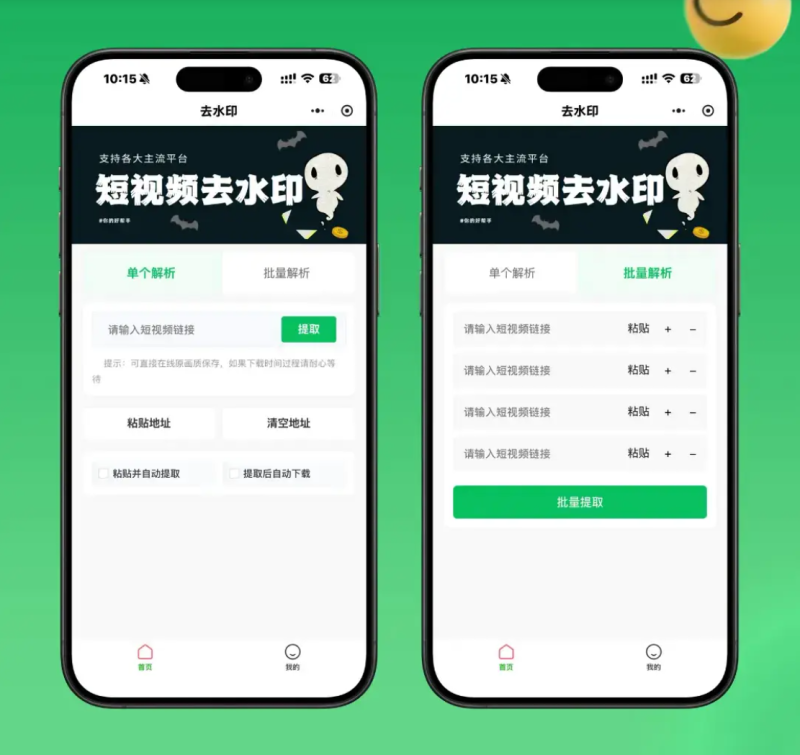 2026最新去水印小程序源码 v1.6.5 带流量主-渡漳网