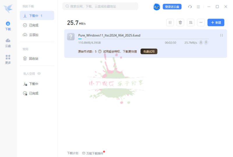 迅雷17 v25.0.82.1562绿色精简版-渡漳网
