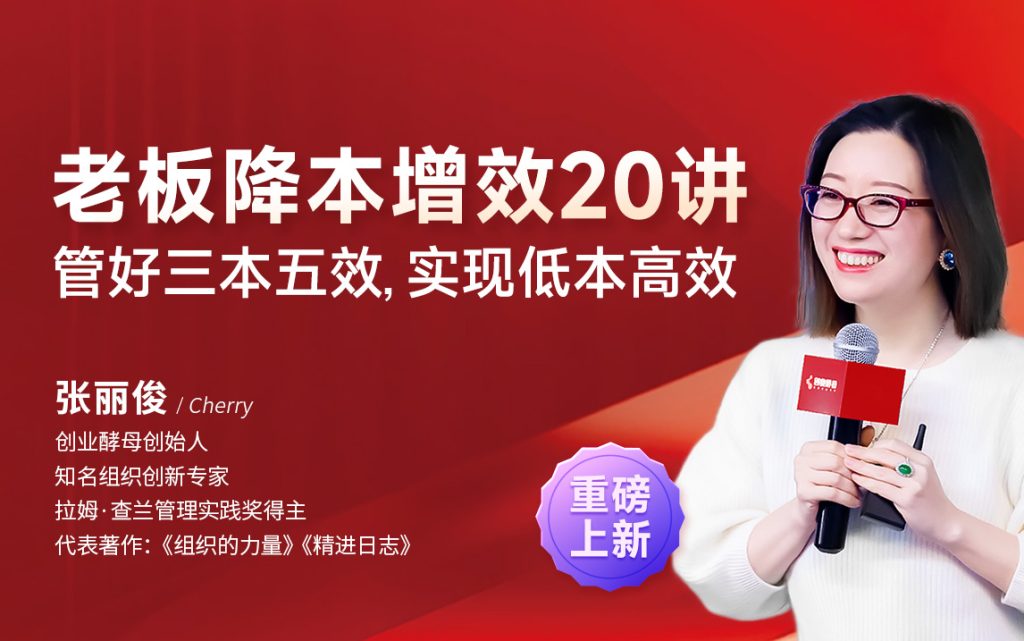 张丽俊老板降本增效20讲
