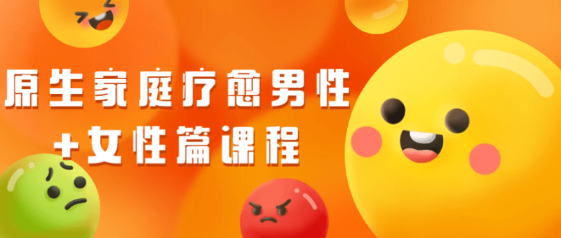 原生家庭疗愈男性+女性篇课程-渡漳网