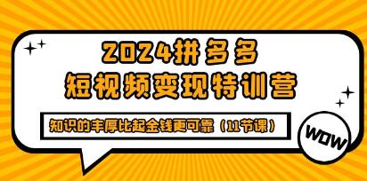 《拼多多短视频变现特训营》知识的丰厚比起金钱更可靠-渡漳网